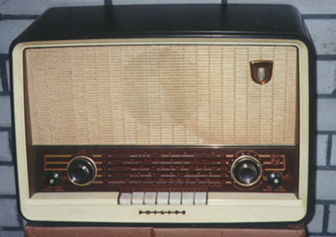 bx555.jpg (35539 bytes)